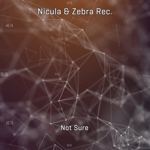 Zebra Rec., Nicula - Not Sure [880106]